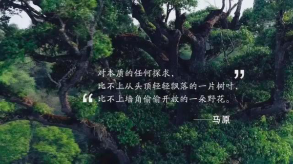 图_图片3.png
