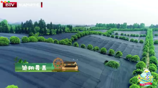 图_图片4.png