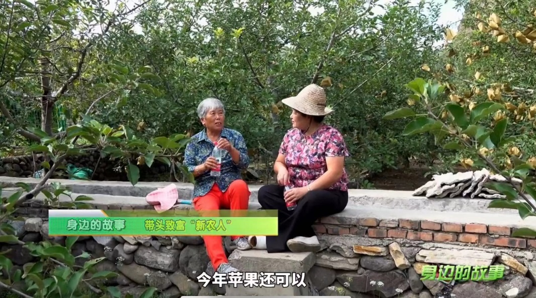 图片17.png