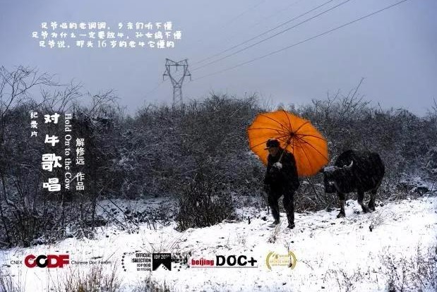 《对牛歌唱》