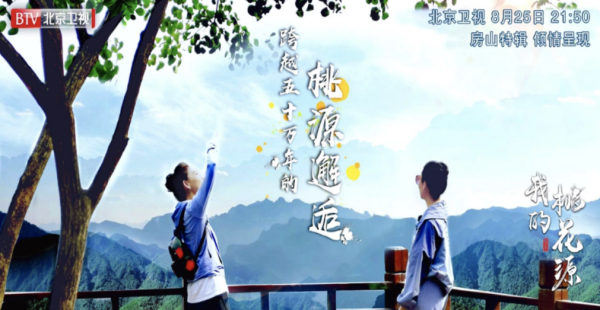 图_图片12.png