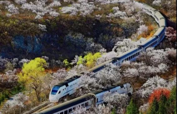 京声京视｜《网红列车画中游》：行进式报道绘就首都生态文明画卷图一