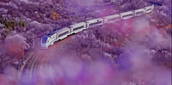 京声京视｜《网红列车画中游》：行进式报道绘就首都生态文明画卷图三