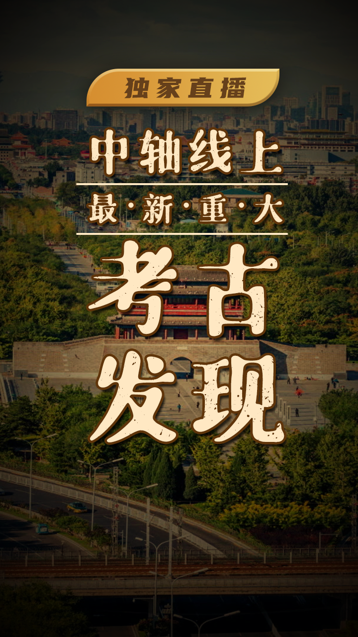 《独家直播，正阳桥镇水兽考古大发现》海报