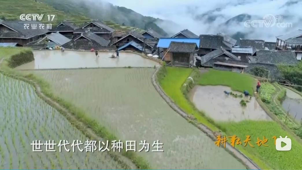 微信图片_20230120110646.png