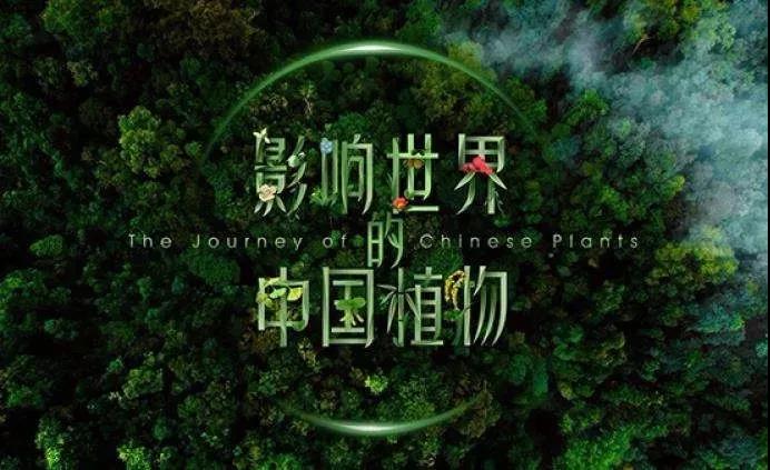 北京广播电视网络视听发展基金为精品创作“北京模式”赋能增色--图5